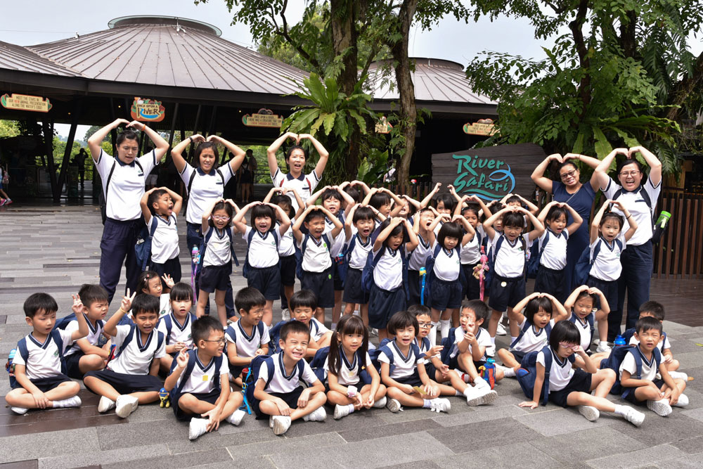 SG20180725 EDA ZMZ 140