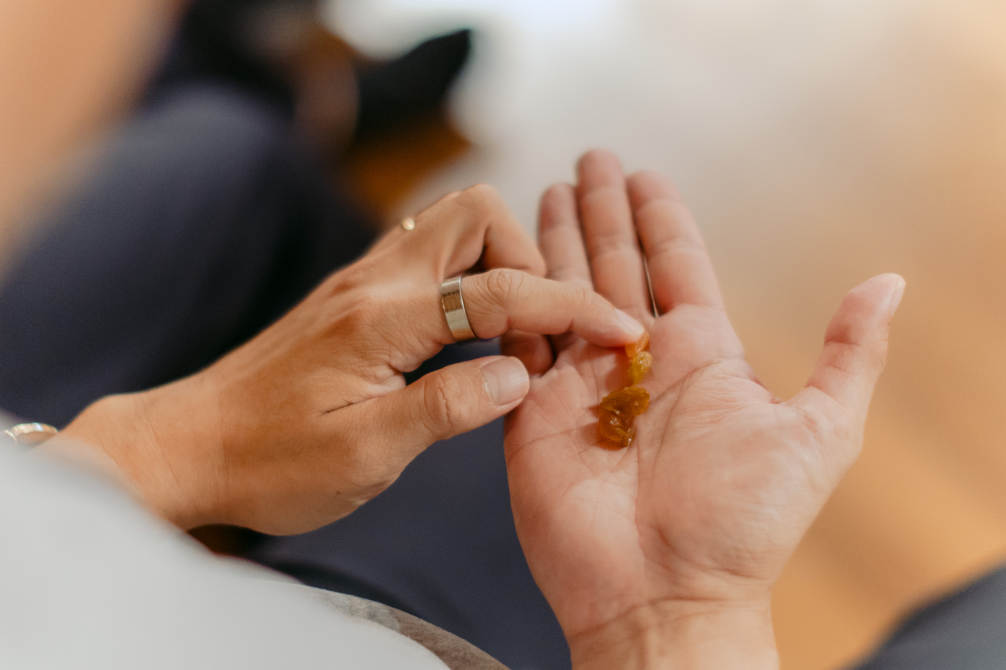 Dr Lo guided the participants to cultivate subtle awareness through a simple exercise of noticing the color, shape, and smell of dried grapes. 